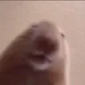huh