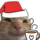 Gatiwi_navidad Discord emoji