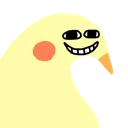 birbkek