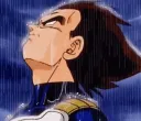 DB_VegetaPain