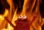 ElmoFire