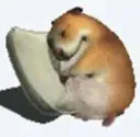 TuruHamster