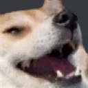 doglaugh