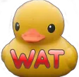 watDuck