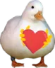 gooselove