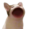 popcat Discord emoji