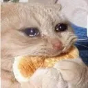 eating_feewings
