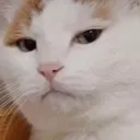 bro_fr
