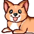 icetokkiCorgi1