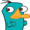 perrylook