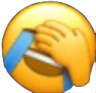 fplmao Discord emoji