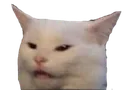 confusedcat