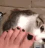 ch_feet
