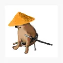 asiandoge