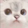 CAThmm