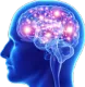cosmicbrain