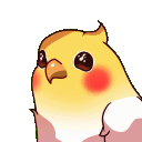 birbshocked