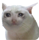 Sad_Cat Discord emoji