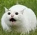 AAAAA Discord emoji