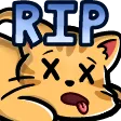CatRIP