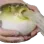 oooofgfgghhhgbblughhgggffftthhbg