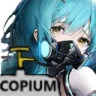 BoiseCopium