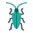 bug