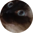 micagul