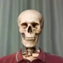deadashell
