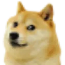 Doge Discord Emoji