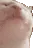 cat2