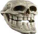 TrollSkull