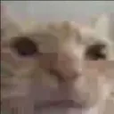 bruhmome bruhmome