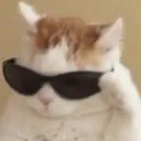 CoolKat