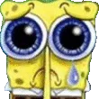 spinkleboinksad