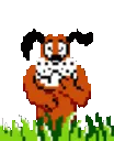 DuckHuntAnimated DuckHuntAnimated