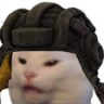 Badcat Discord emoji