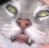ch_high Discord emoji