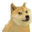 doge_dance