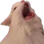 761892832088162344