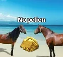 no_pelien