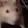 11 11