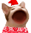 ChristmasCat