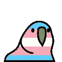 transpridebird