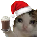x_ChristmasCat Discord Emoji
