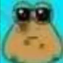 pou