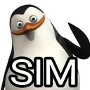 Sim