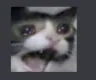 Scared