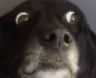 scared