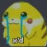 xdsad